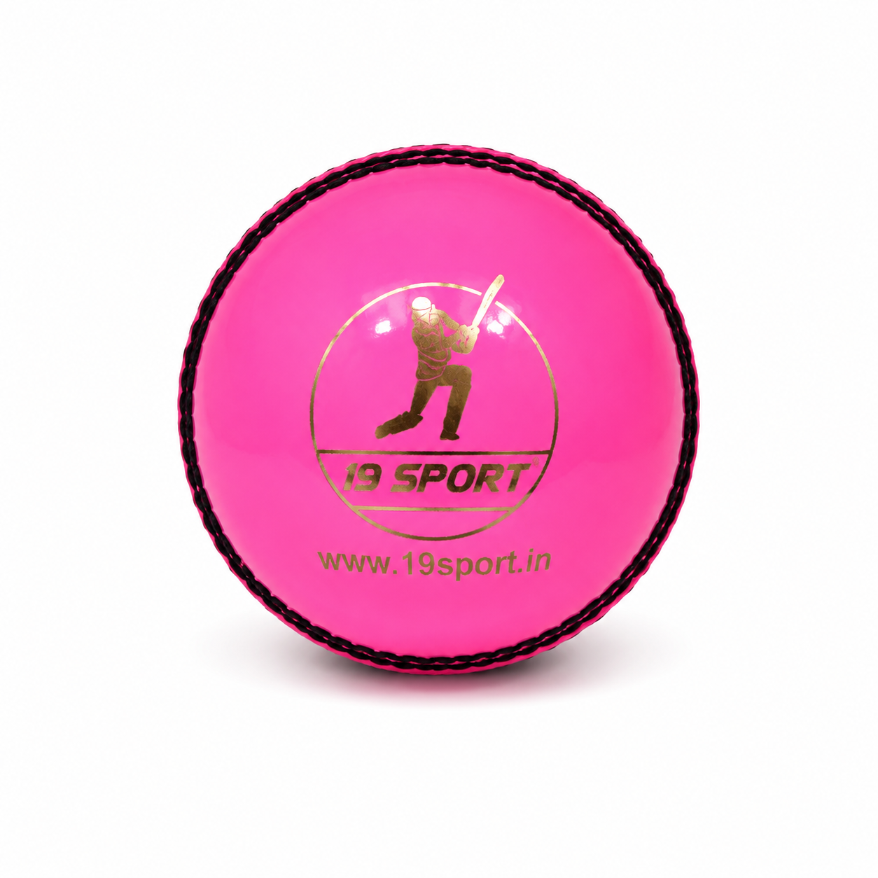 19 Club Leather Ball Pink | 30+overs | Pack of 6
