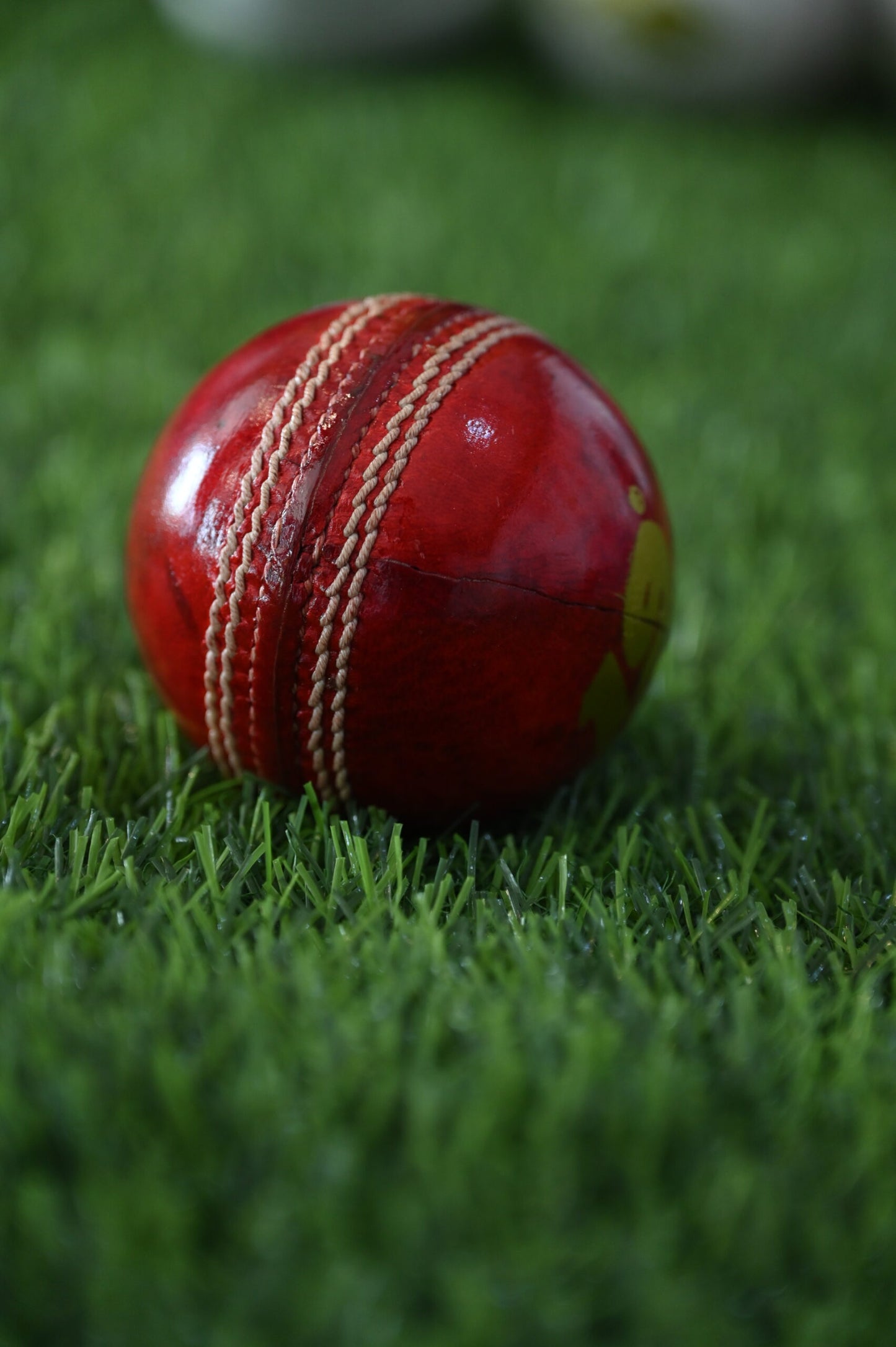 19 premium red leather cricket balls pack of 2