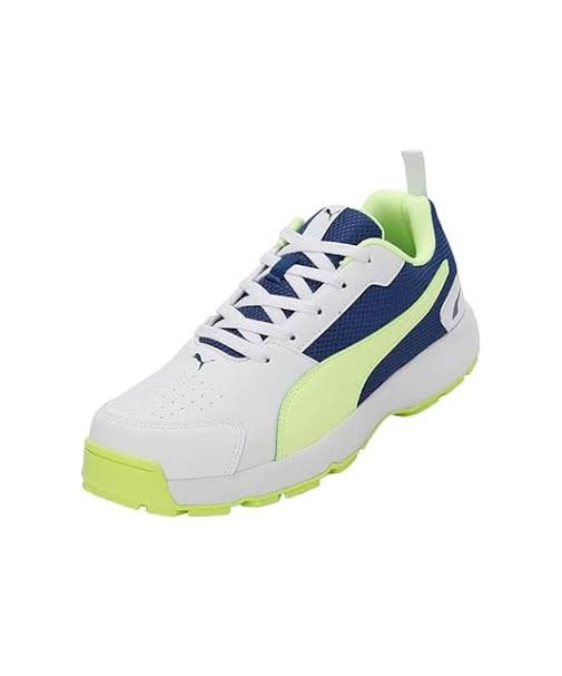Puma High Run Cricket Shoes