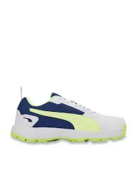 Puma High Run Cricket Shoes