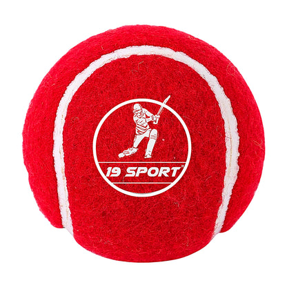19 Sport Heavy Red Cricket Tennis Ball (125-135 gm)