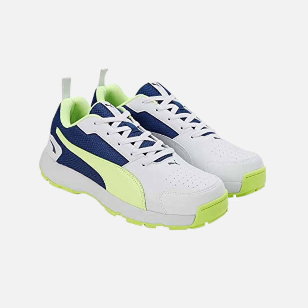 Puma High Run Cricket Shoes