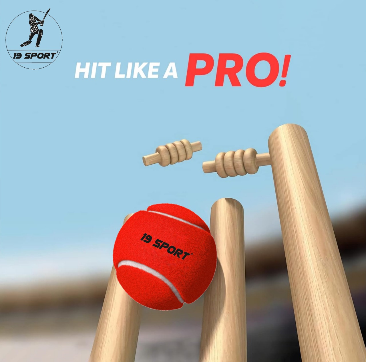 19 hard tennis yellow ball (pack of 6)