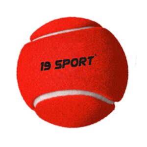 19 hard tennis yellow ball (pack of 6)
