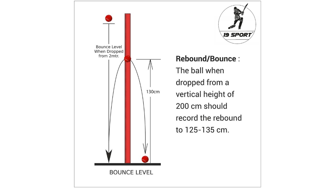 19 hard tennis red ball (pack of 6)